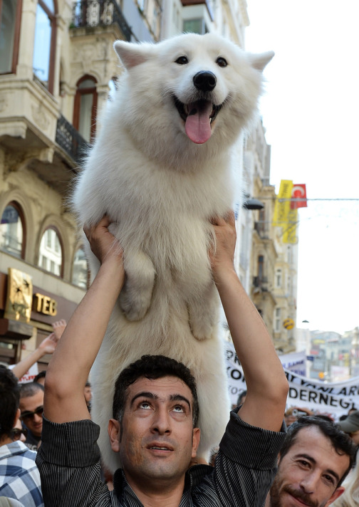 20120930_171147_IST350.jpg