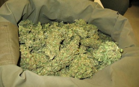 1 ton marihuana ele geçirildi