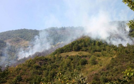 Osmaniyede 100 hektar orman yandı