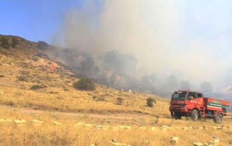 Ankaranın Kazan ilçesinde orman yangını