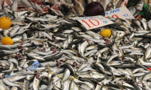 Balık Sezonu Açıldı! Balık Tüketmenin Faydaları Nelerdir?