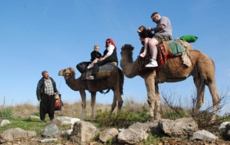 Side Antik Kentte deve turları başladı