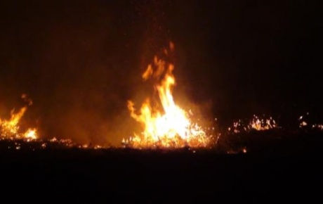 Yunanistanda büyük orman yangını