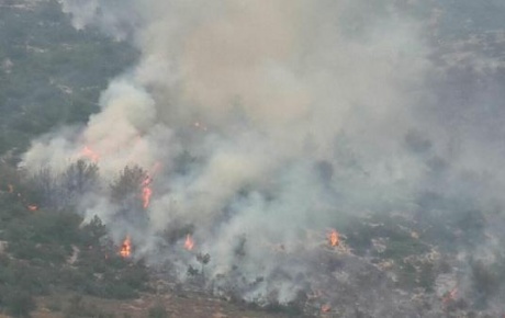 Çöplükteki yangın ormanı da yaktı