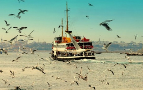 Bekârlar İstanbula gitmeli