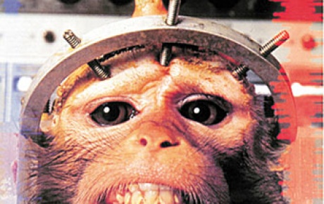 İran uzaya maymun gönderecek