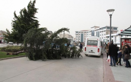 Lodosun faturası ağır oldu