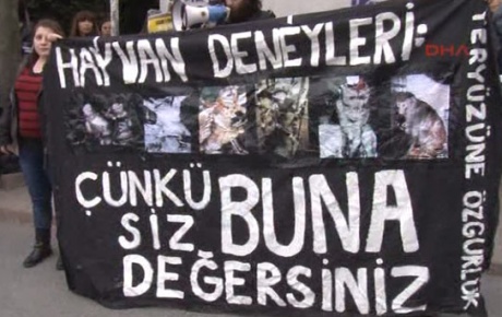 Köpek nüfusu yönetimi konferansına protesto