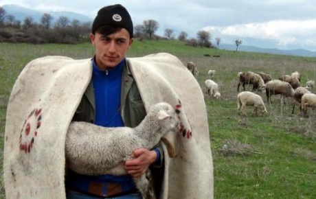 Diplomalı çobanlar