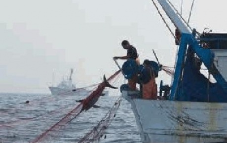 Balıkçı gemisi battı:53 ölü!