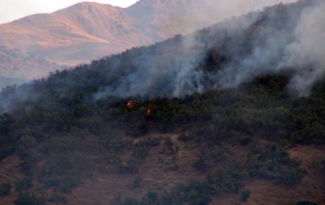 Tunceli ve Nusaybinde orman yangınları