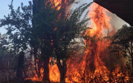 Antalya Kırcamide makilik alanda yangın