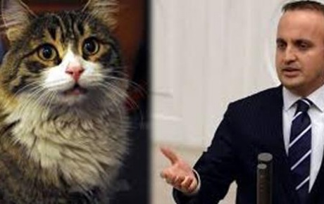 AKPli vekil CHPnin kedisiyle tartıştı
