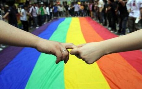 Fransada eşcinsel evlilik protestosu