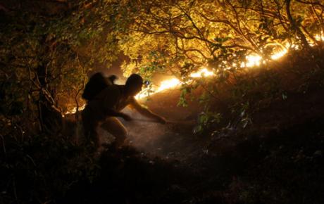 Şilide orman yangını