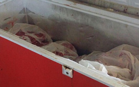 Bir ton kaçak domuz eti İstanbula gönderilecekti