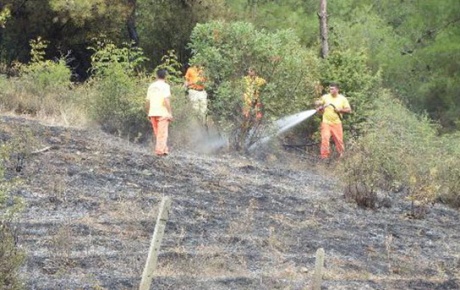 Sakaryada muhtar ormanı yaktı, söndürmeye çalışan köylü öldü