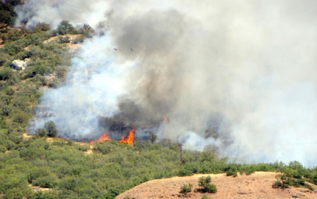 Tuncelide orman yangını köylere ilerliyor, halk panikte
