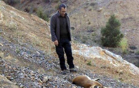 2 yavrulu dağ keçisini vuran 2 avcıya 18 bin lira ceza