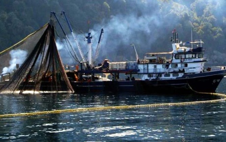 Egede Türk balıkçılara Yunan tacizi