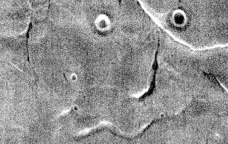 Marsın vesikalık fotoğrafı yayınlandı