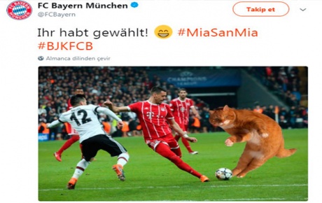 Alman basınında Beşiktaş-Bayern Münih maçının yankıları