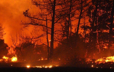 Girit Adasında büyük orman yangını