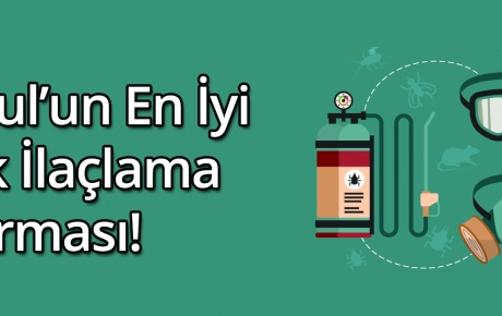 En iyi 3 böcek ilaçlama İstanbul firması ! Yazımızdan ulaşabilirsiniz !
