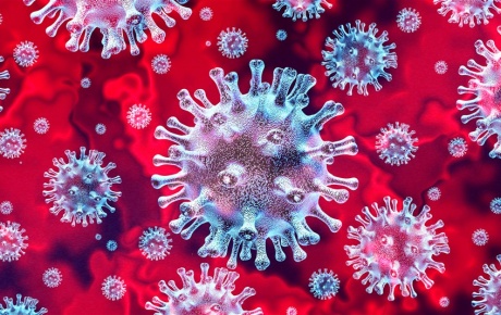 Corona virüste son durum: Can kaybı 4 bin 431e yükseldi