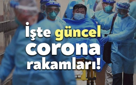 Kocaelide corona virüsü güncel vaka sayısı kaç? Ölü sayısı ne kadar?