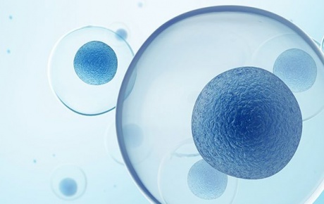 Kök hücreler hangi hastalıkların tedavisinde kullanılıyor?