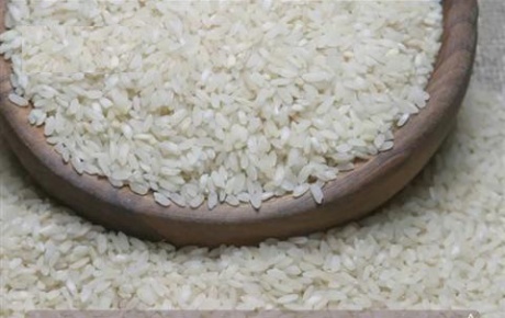 GDOlu pirinç savunması