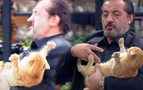 MasterChefte Mehmet Yalçınkayanın kediyle imtihanı!