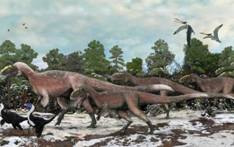 35 metrelik dinozor fosili