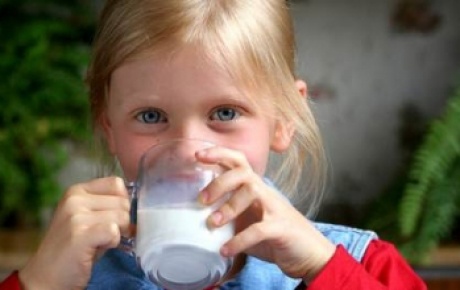 Süt üretimi 727 bin 499 tona çıktı