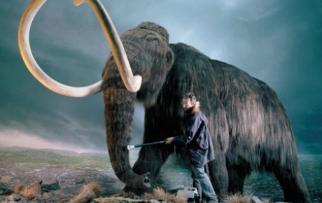 Fransada mamut iskeleti bulundu