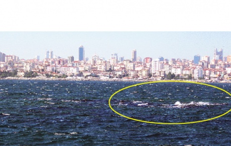 İşte İstanbulun kayıp adası