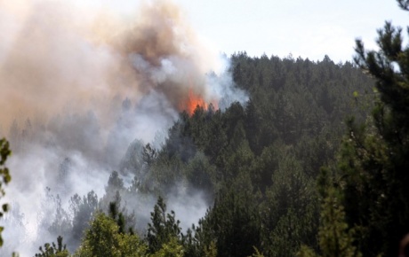 Helikopterli kurtarmada orman yangını çıktı