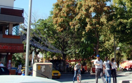 Kırşehir sokaklarında Neşet Ertaş türküleri