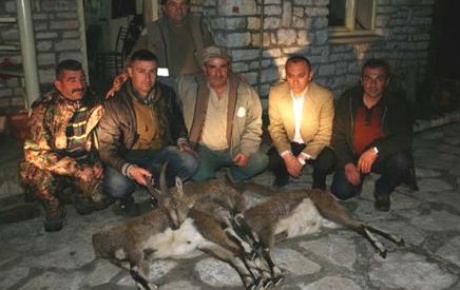 Yaban keçisi vuran avcılara rekor ceza