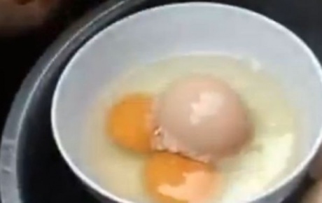 Yumurta içinde yumurta