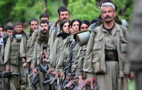 2 PKKlı koruculara teslim oldu
