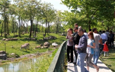 Bursada hayvanat bahçesine ziyaretçi akını